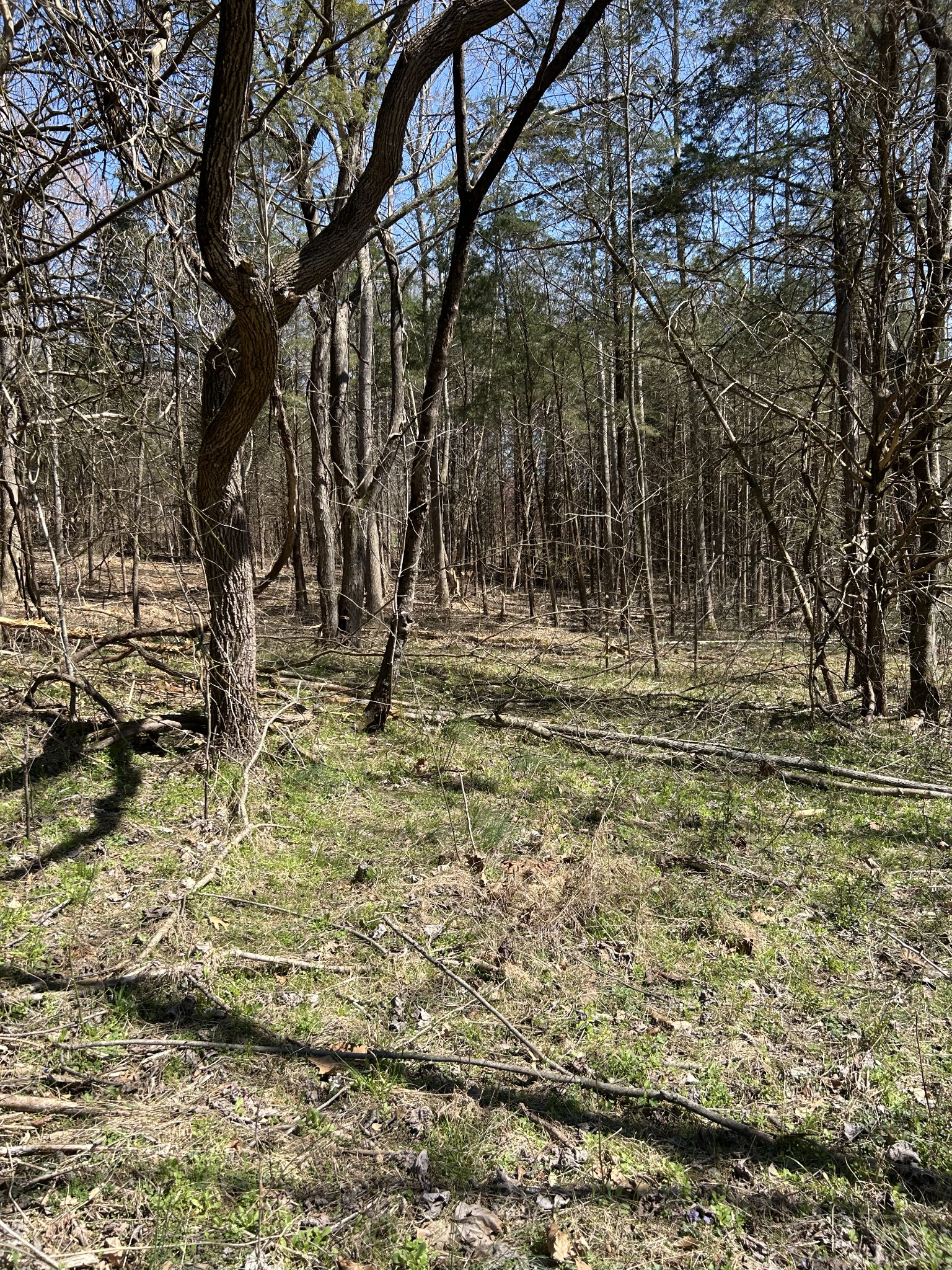 820 Lucas Rd Property Photo 4
