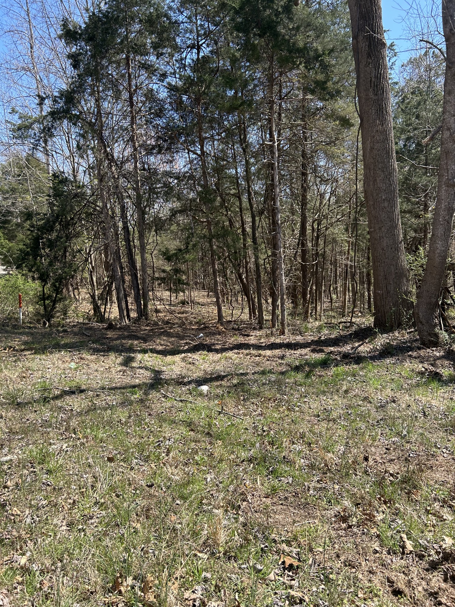 820 Lucas Rd Property Photo 5