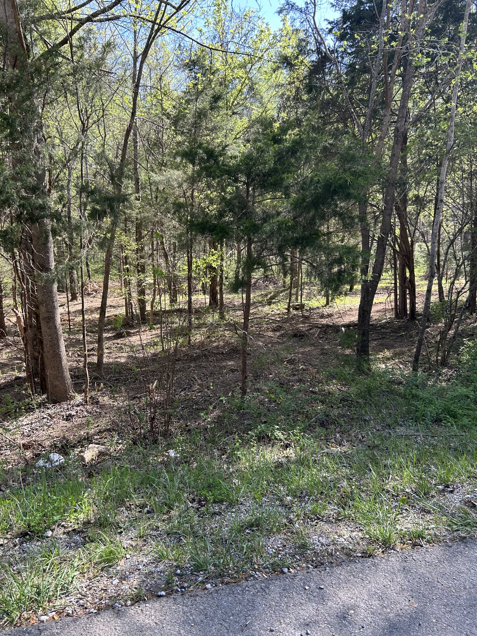 820 Lucas Rd Property Photo 8