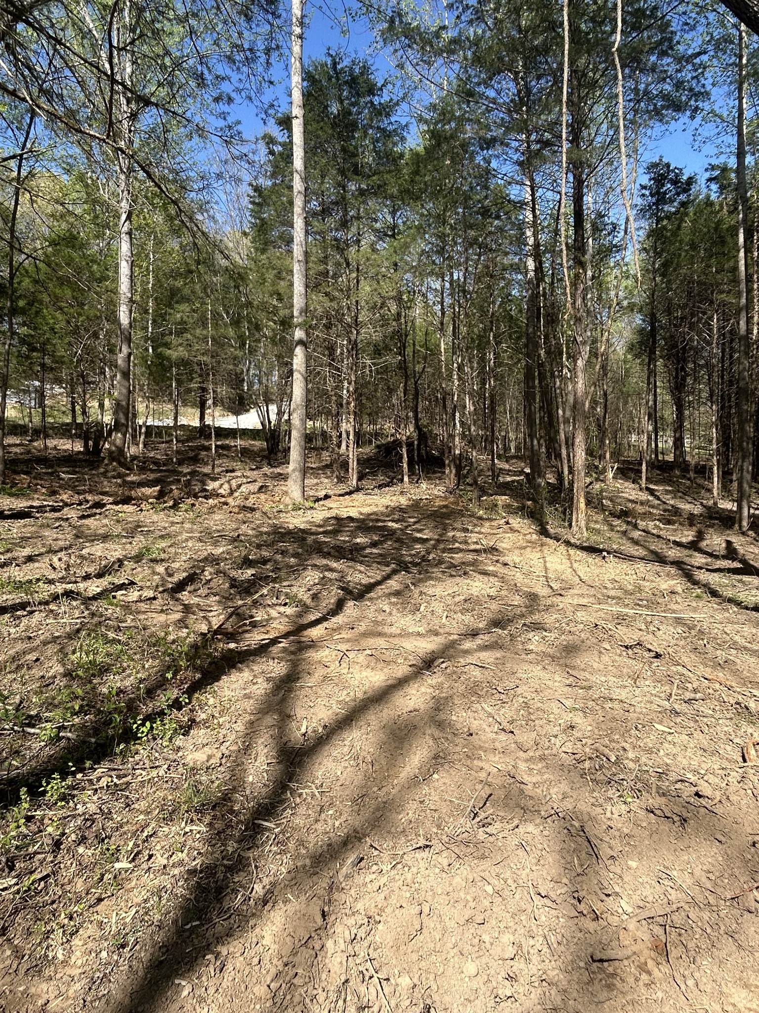 820 Lucas Rd Property Photo 11