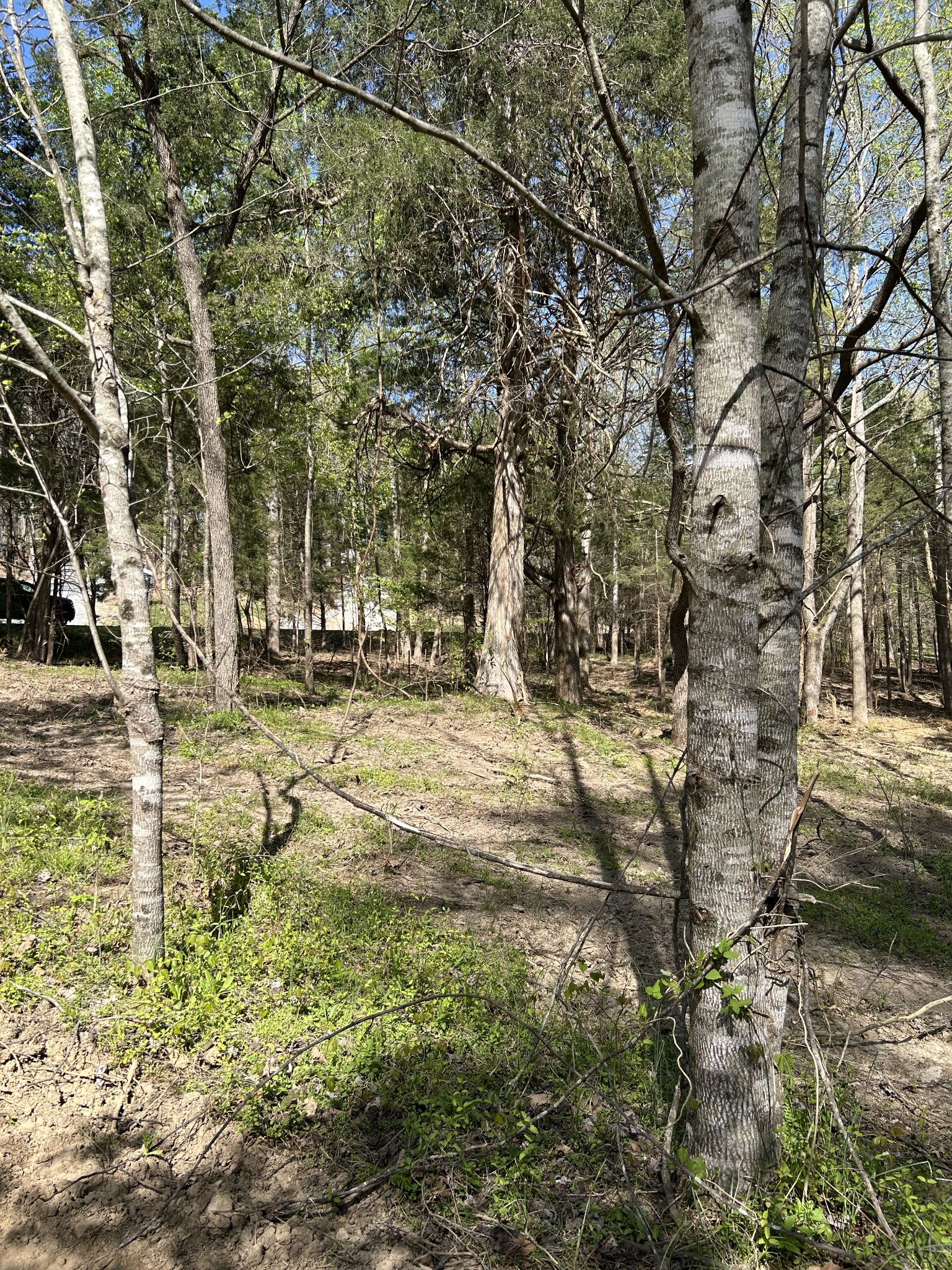 820 Lucas Rd Property Photo 13