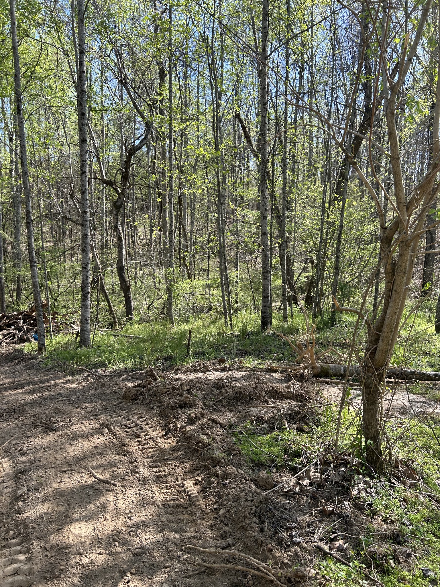 820 Lucas Rd Property Photo 16