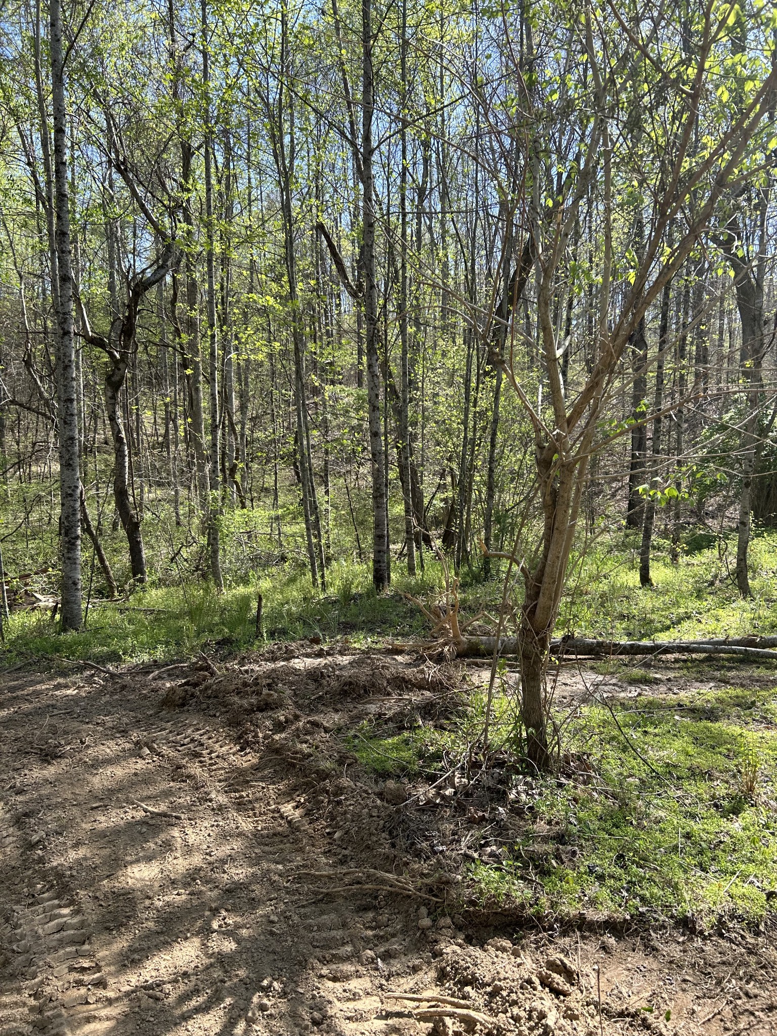 820 Lucas Rd Property Photo 17