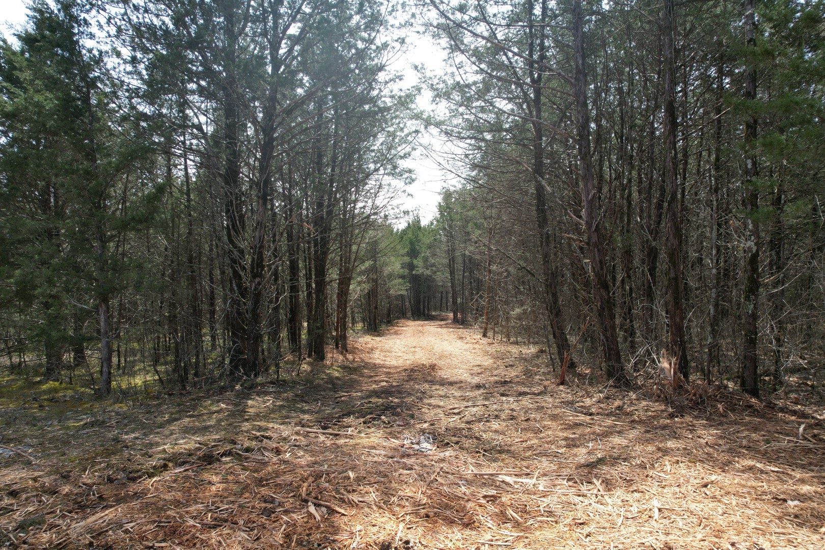 0 Hill Road Property Photo 3