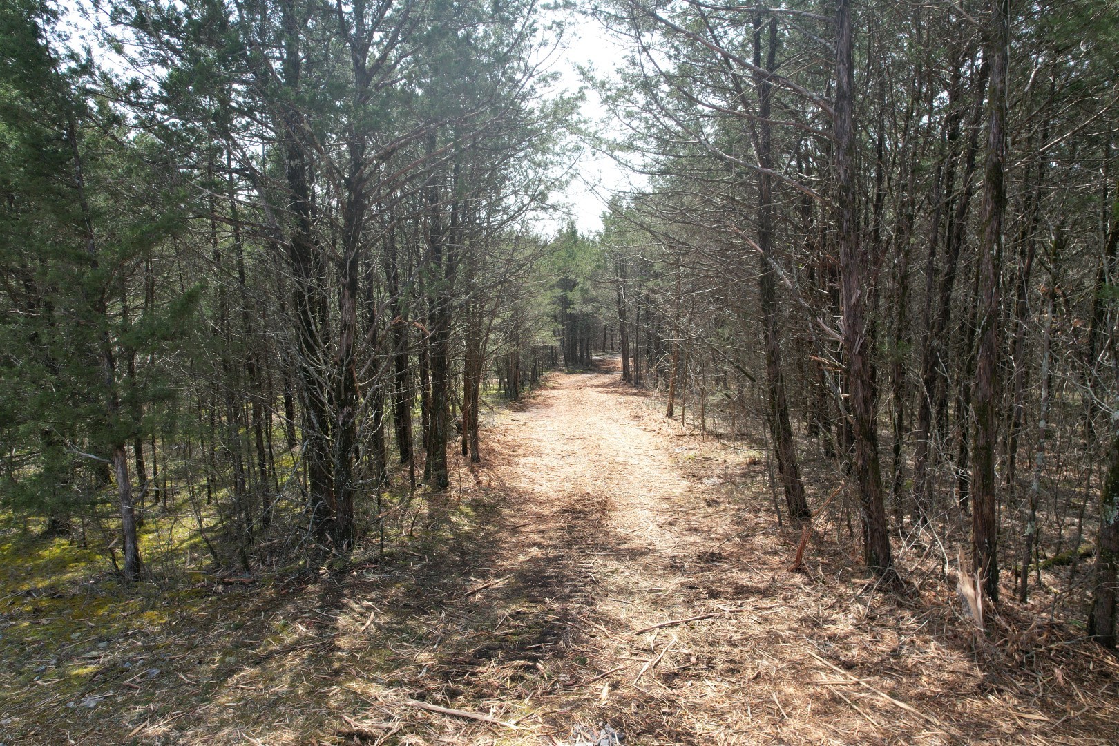 0 Hill Road Property Photo 4