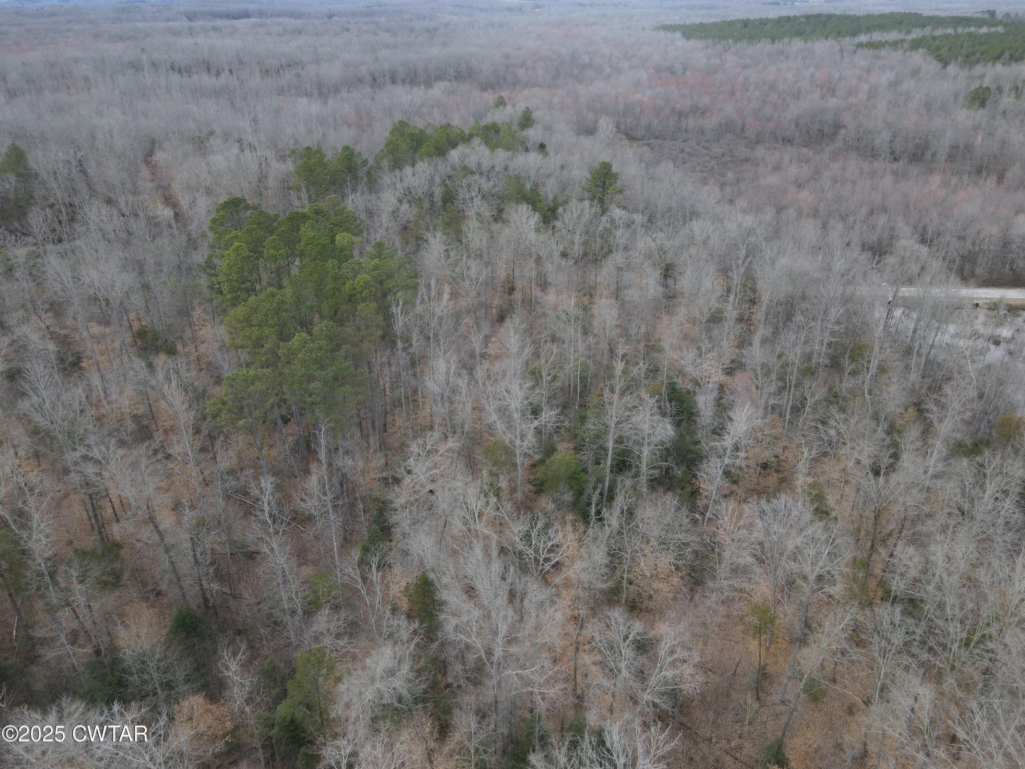 0 Pond Branch Rd Property Photo 2