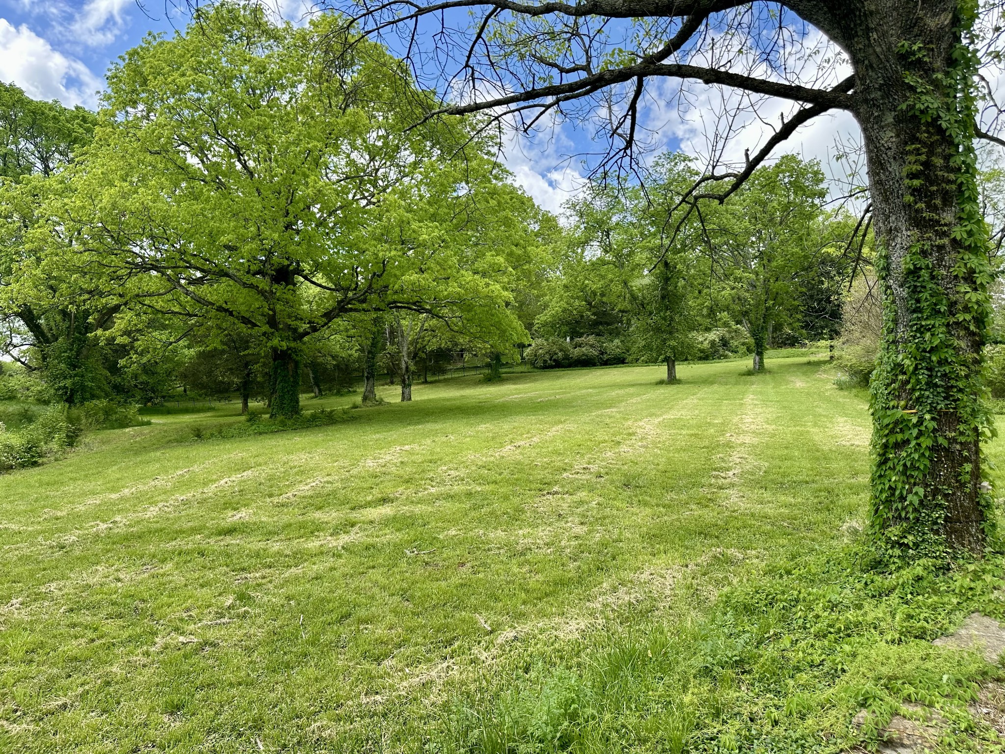 6001 Hillsboro Pike Property Photo 4