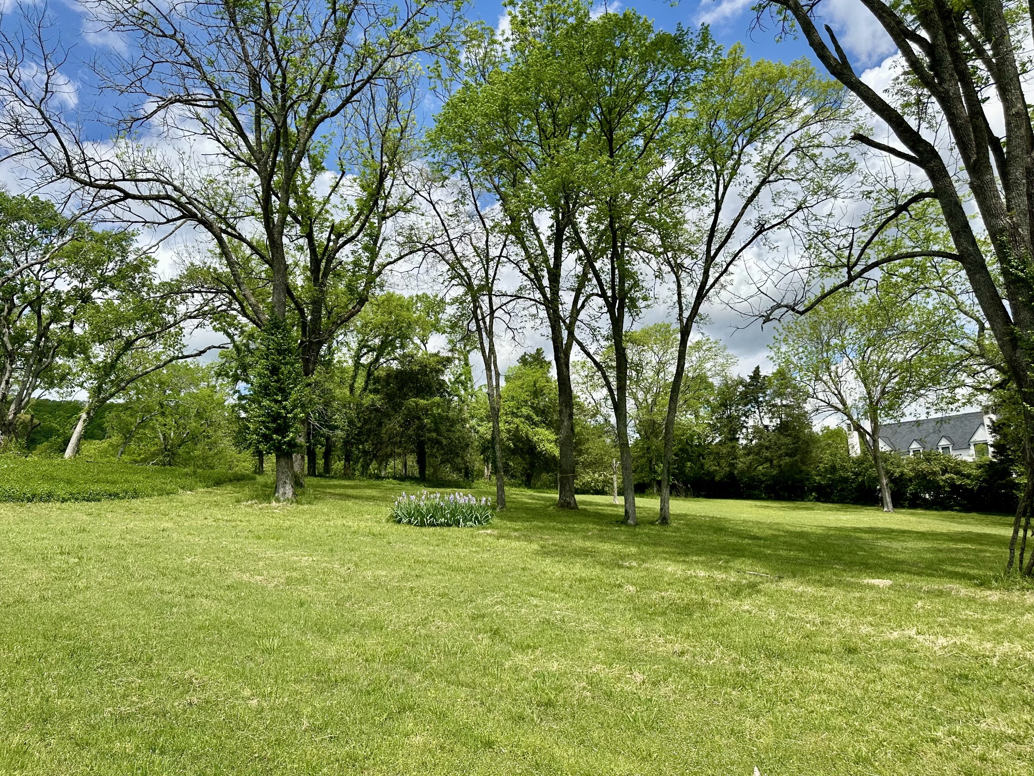 6001 Hillsboro Pike Property Photo 6