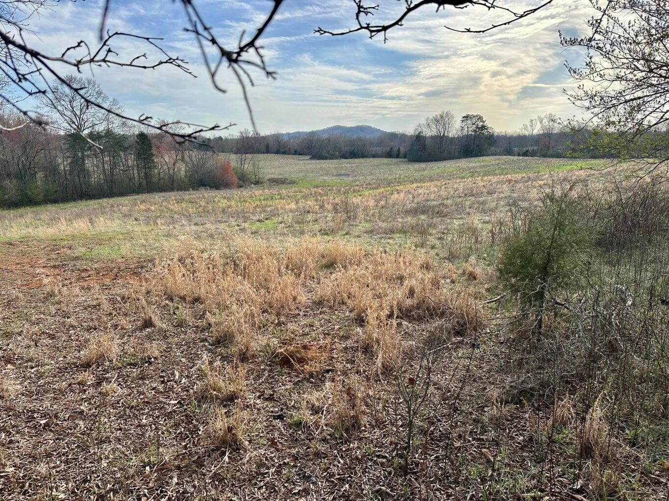 0 Maple Springs Road Property Photo 2