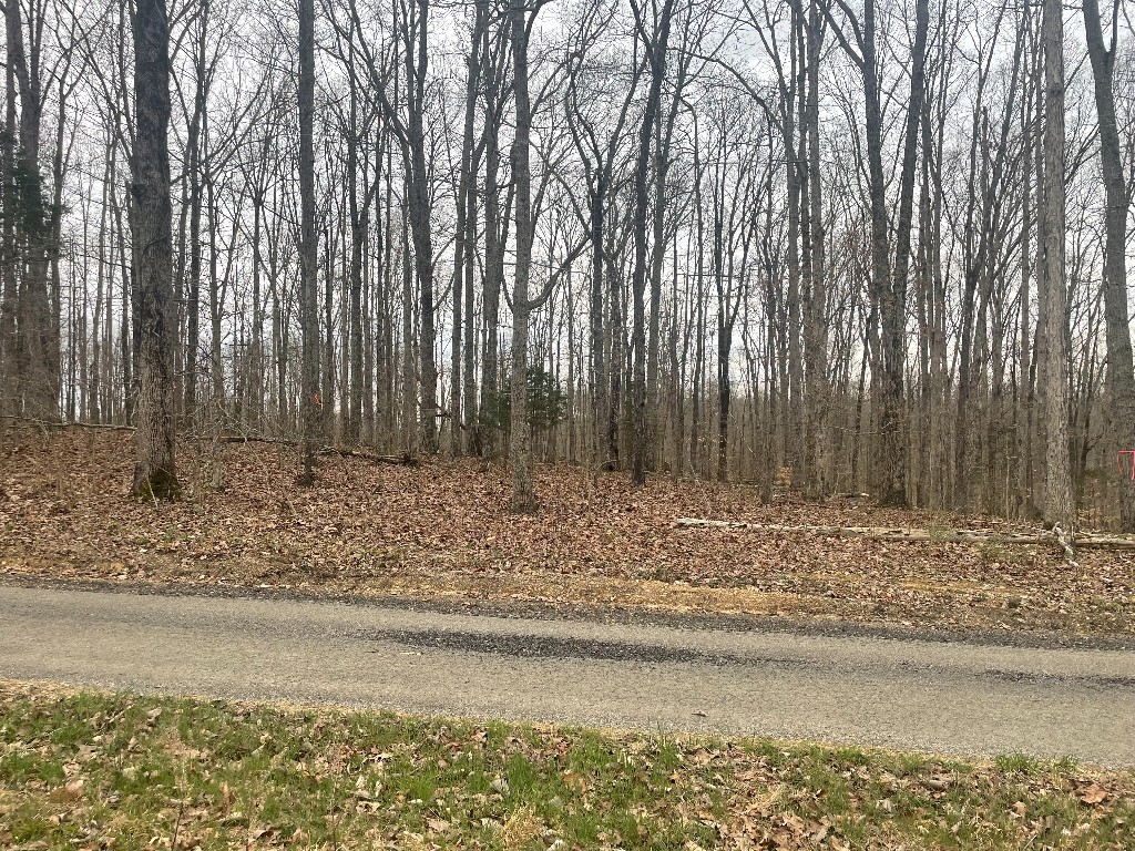 133 Shelton Cemetery Road Property Photo 1