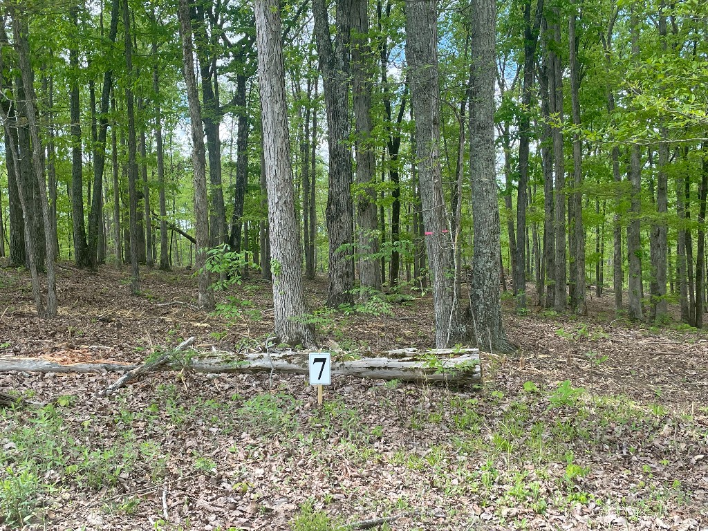 133 Shelton Cemetery Road Property Photo 1