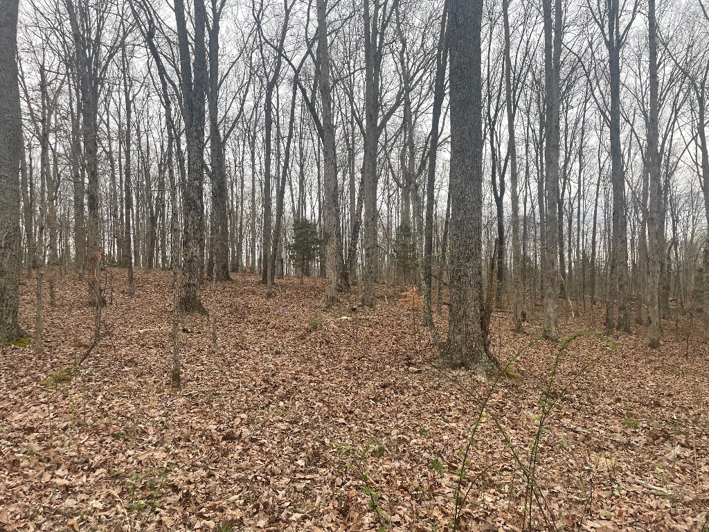 133 Shelton Cemetery Road Property Photo 2