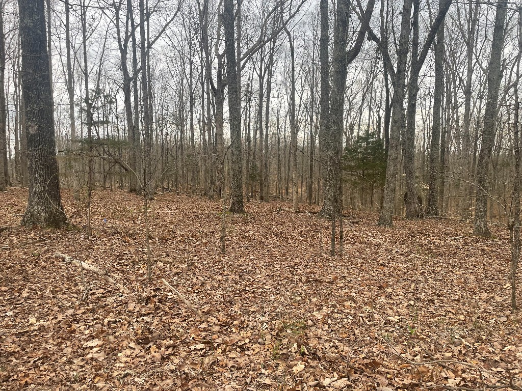 133 Shelton Cemetery Road Property Photo 3