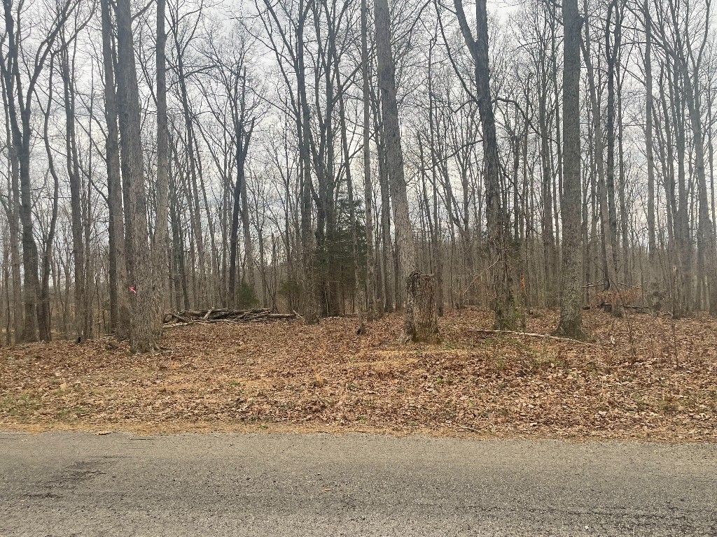 135 Shelton Cemetery Road Property Photo