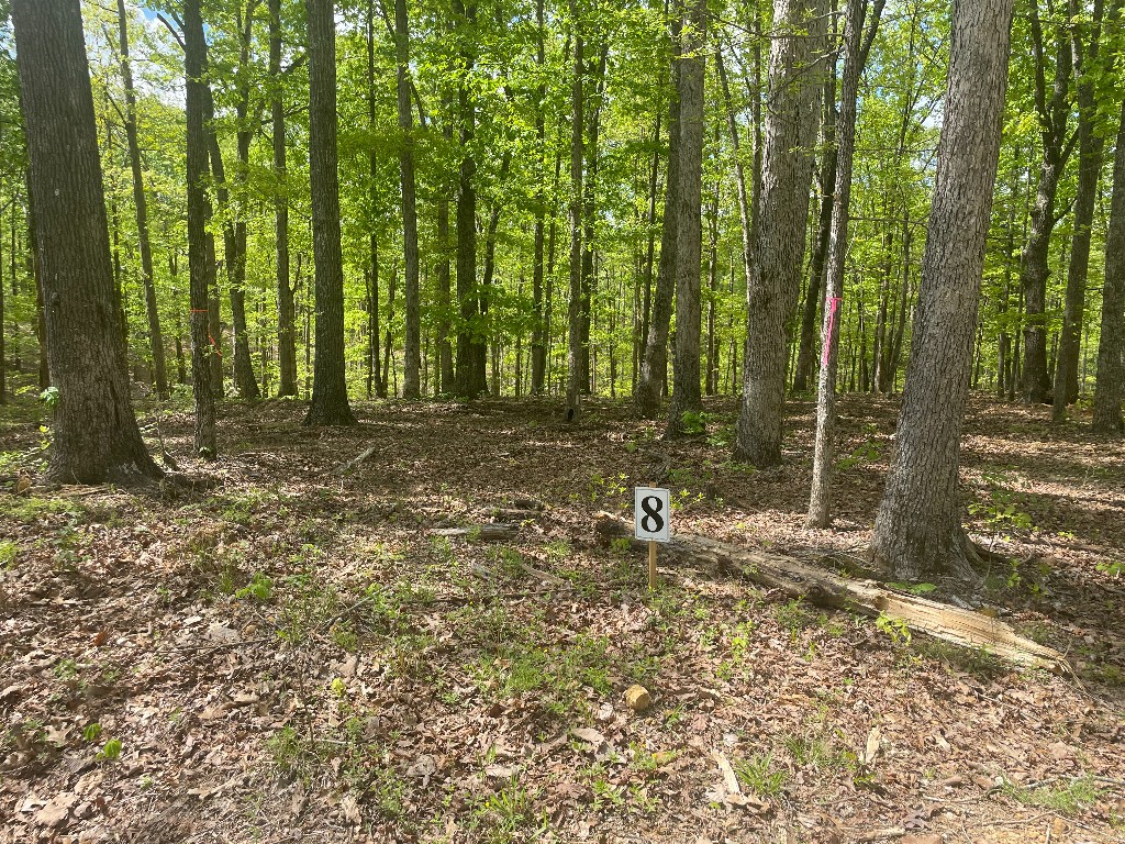 135 Shelton Cemetery Road Property Photo 1