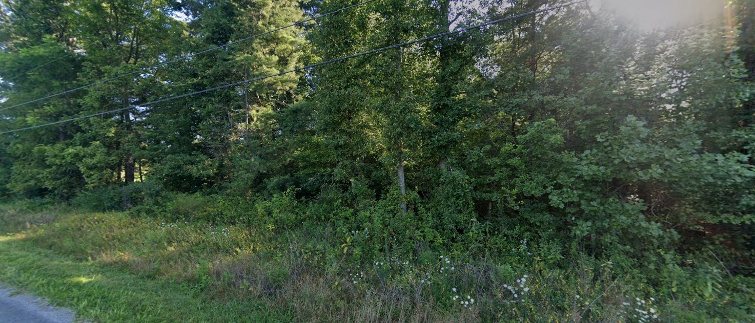 0 Junior Camp Rd Property Photo 3