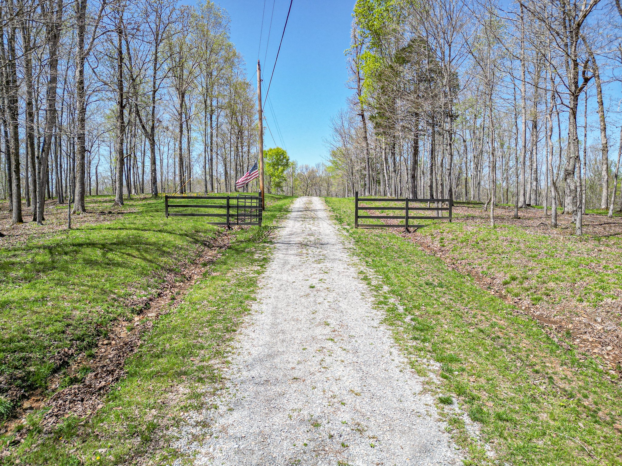 317 Highway 100 Property Photo