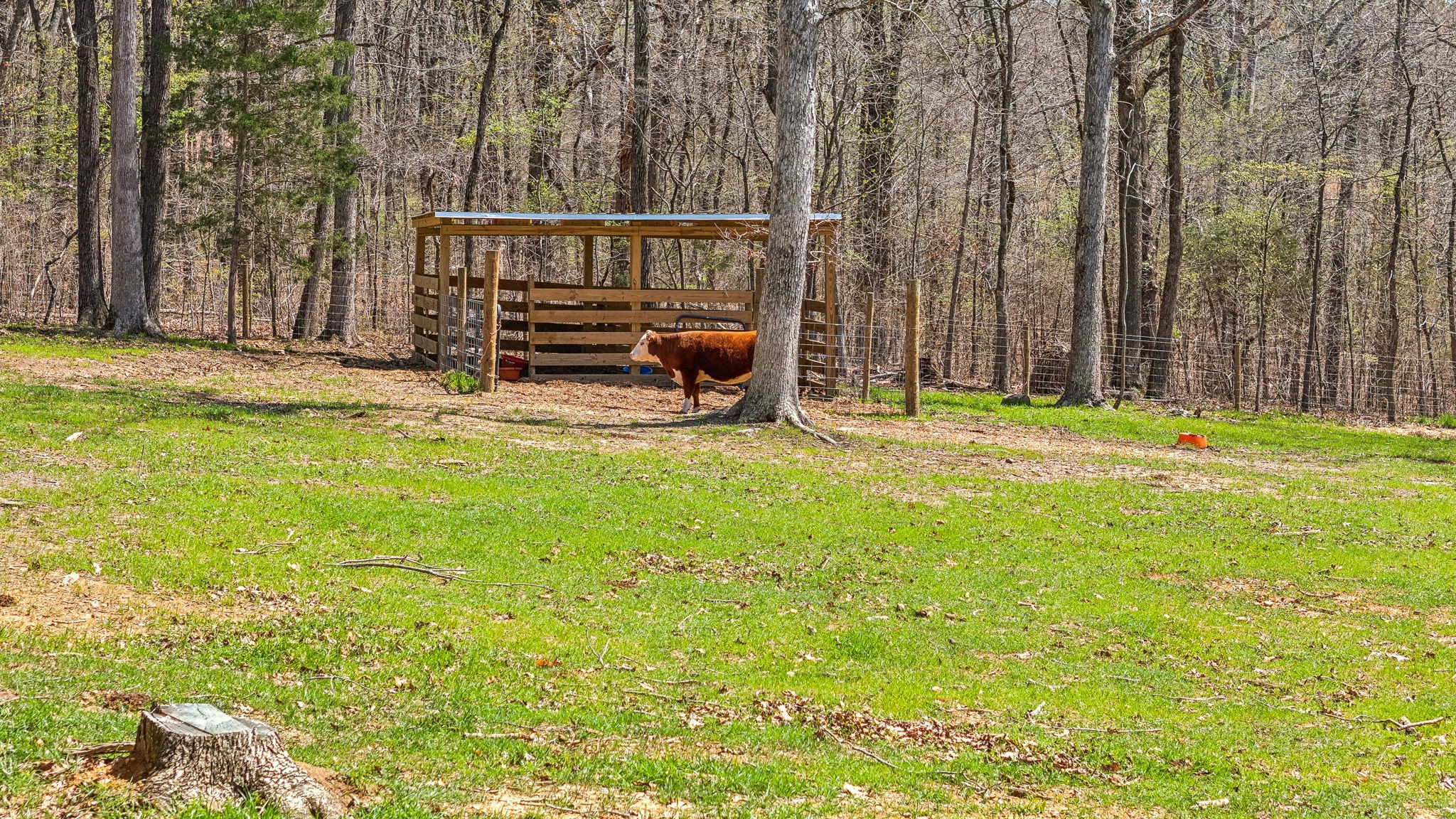7461 Crow Cut Rd Property Photo 58