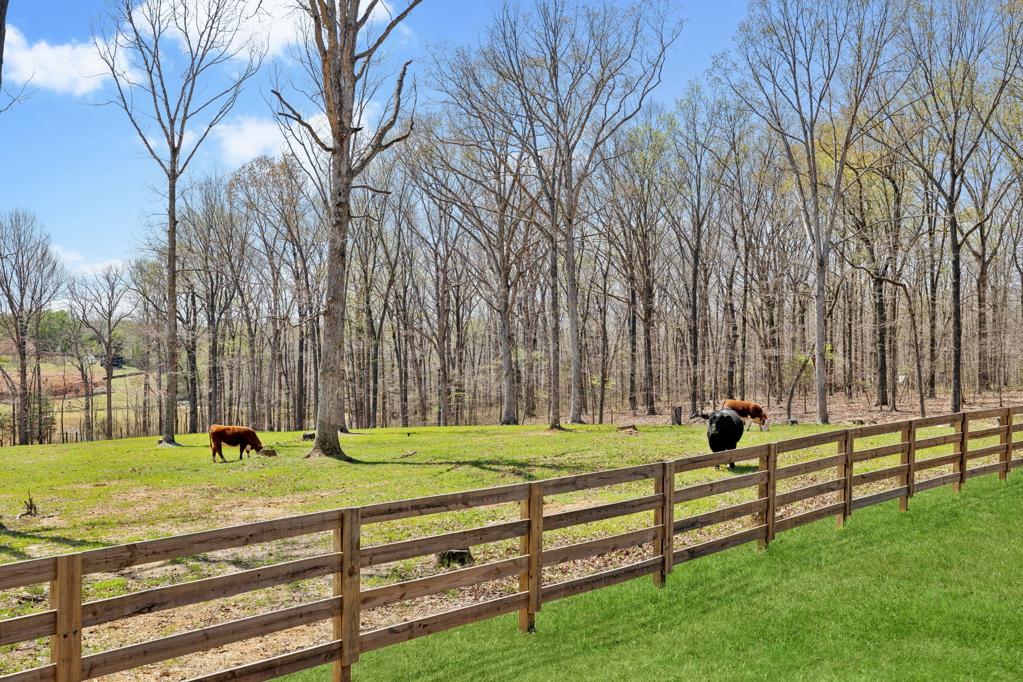 7461 Crow Cut Rd Property Photo 61
