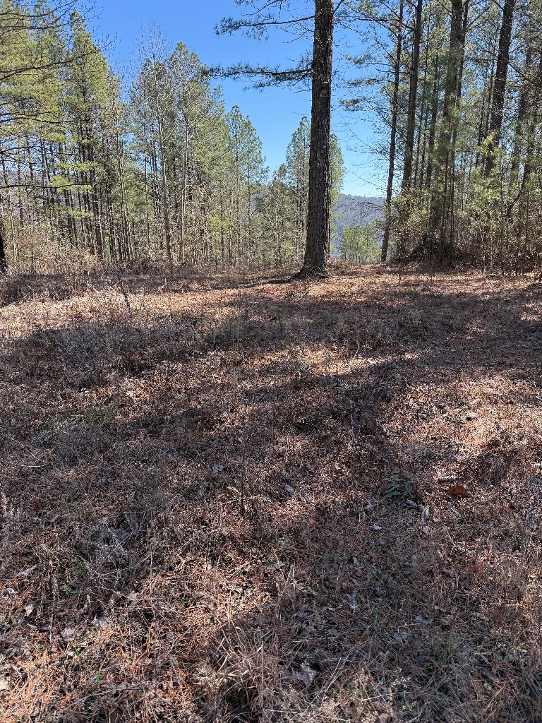 1375 Split Rail Way Property Photo 2