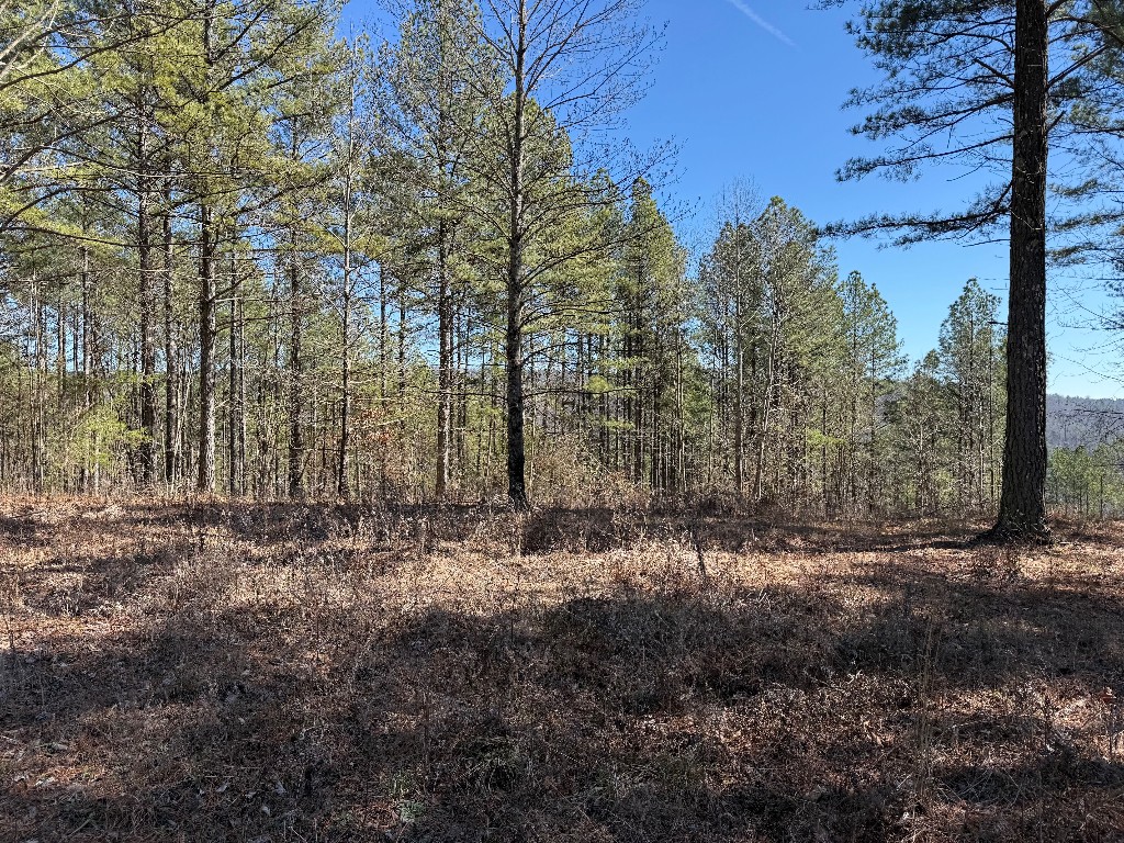 1375 Split Rail Way Property Photo 3