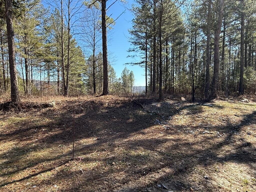 1375 Split Rail Way Property Photo 7