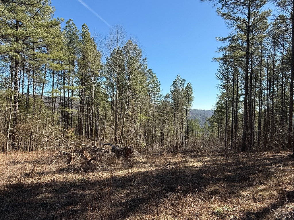 1375 Split Rail Way Property Photo 8