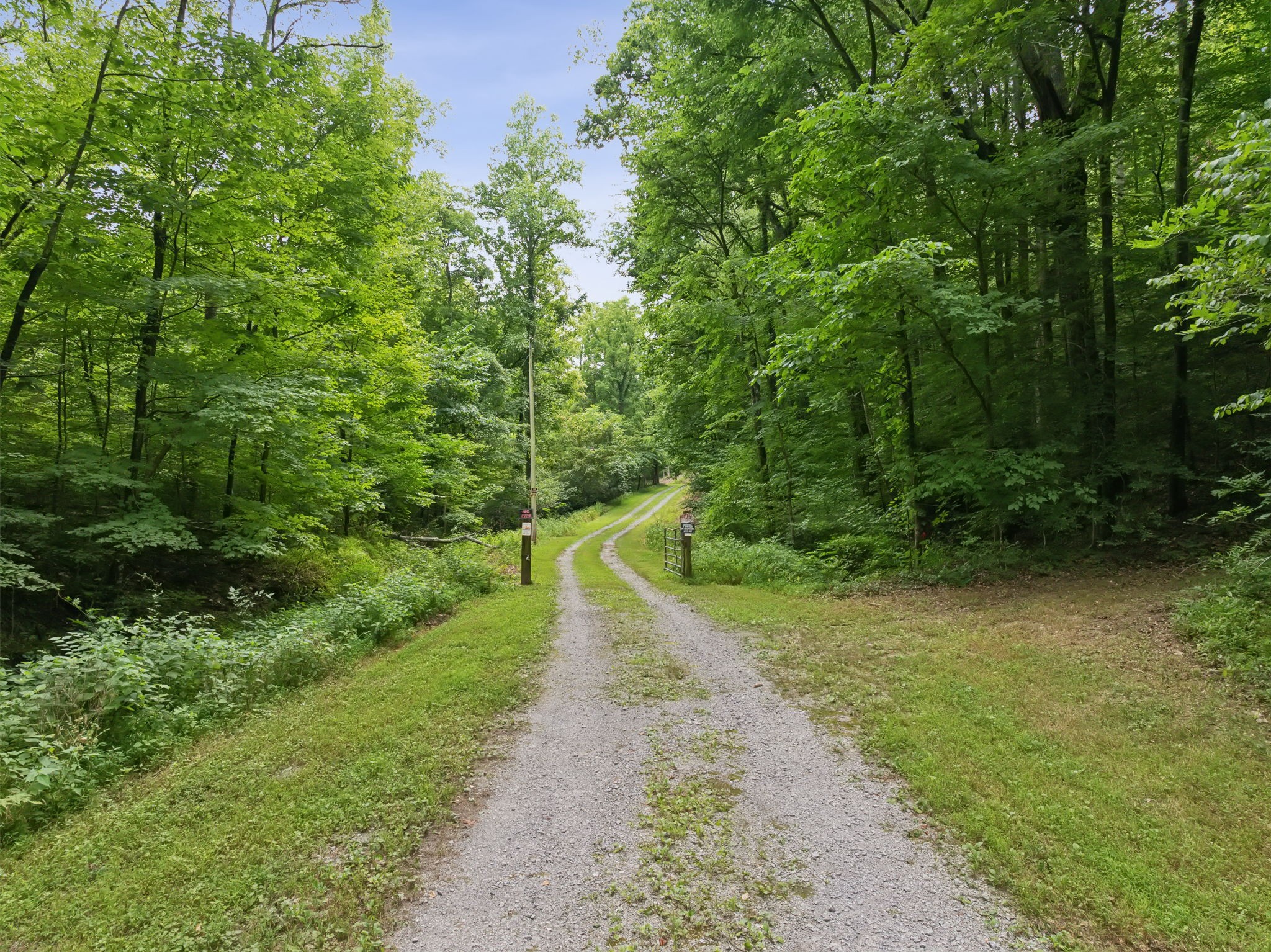 0 Lake Road Property Photo 4