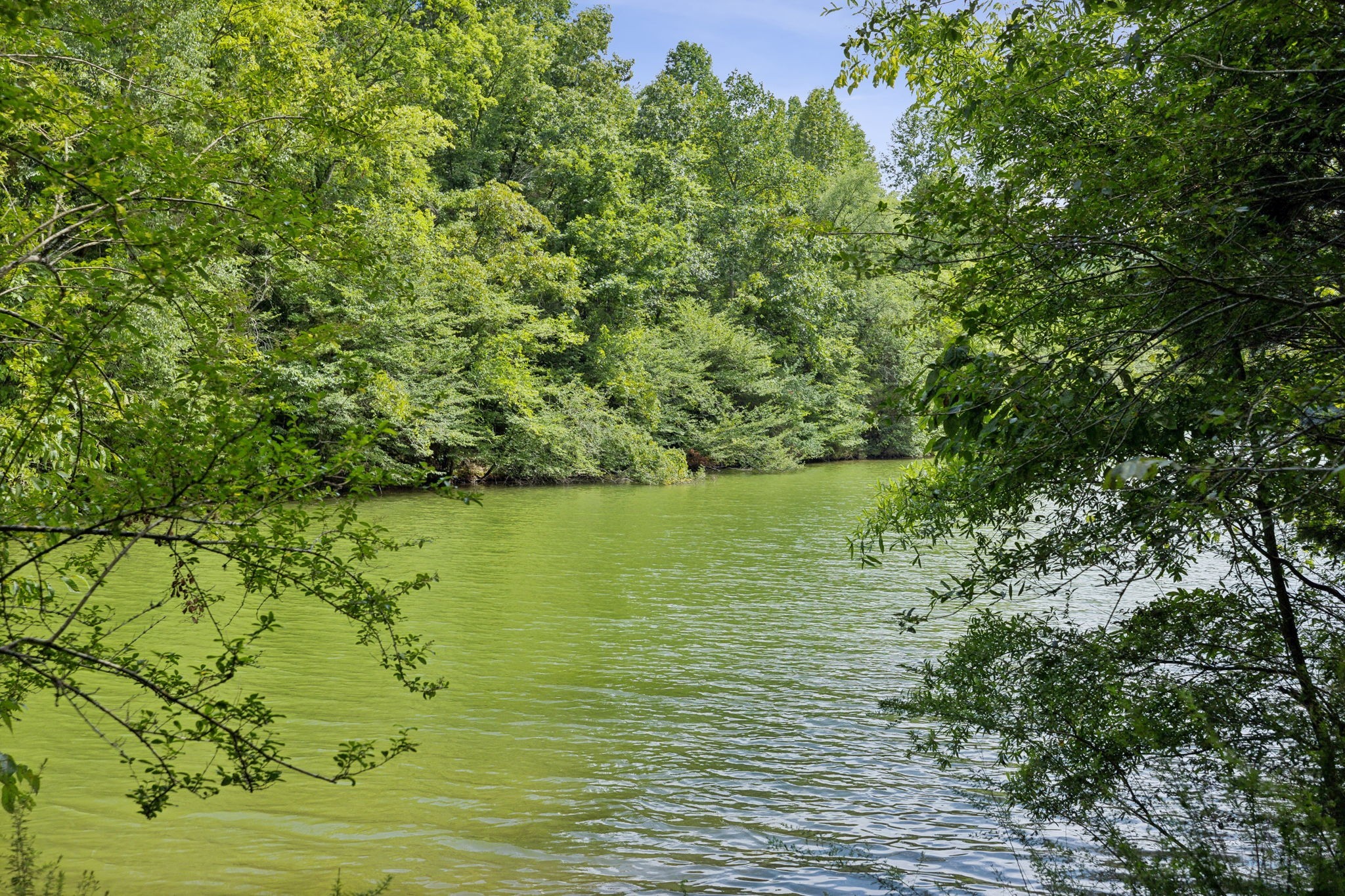 0 Lake Road Property Photo 14