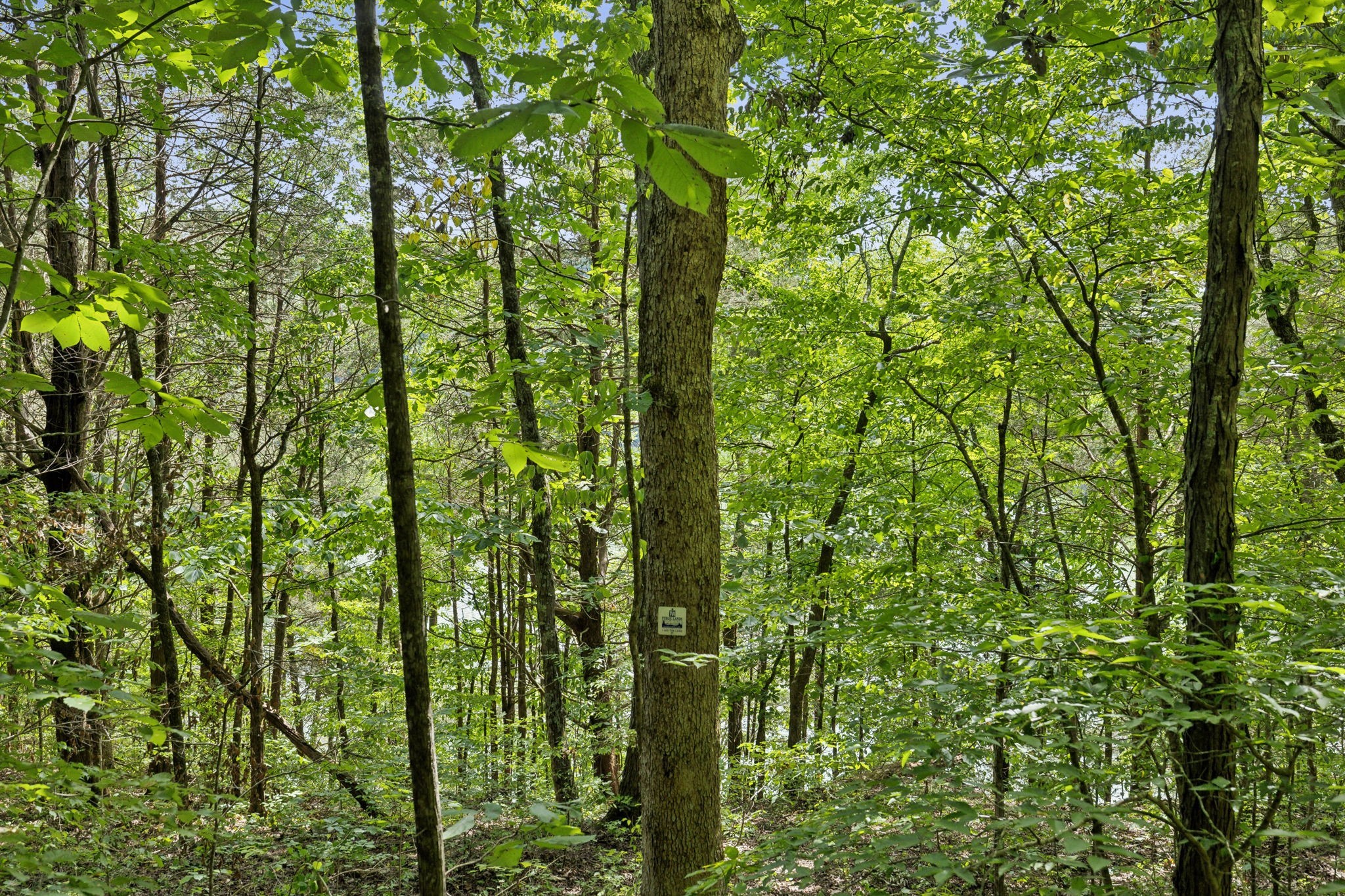 0 Lake Road Property Photo 17