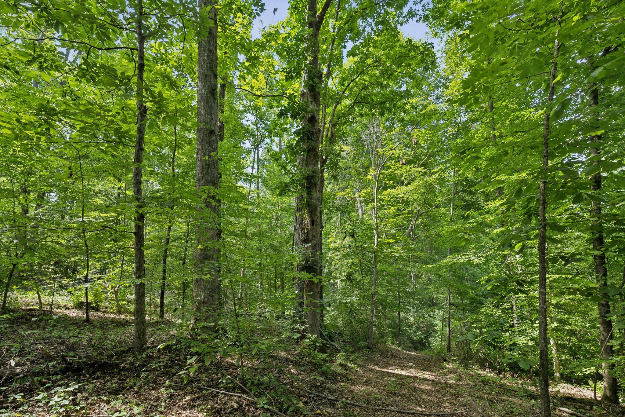 0 Lake Road Property Photo 25