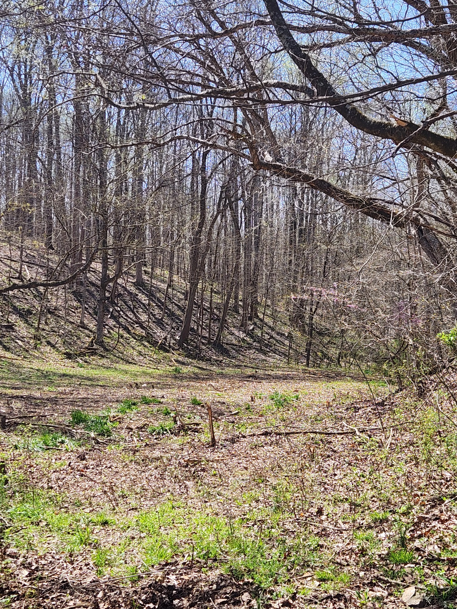 0 Lowery Cemetery Rd Property Photo