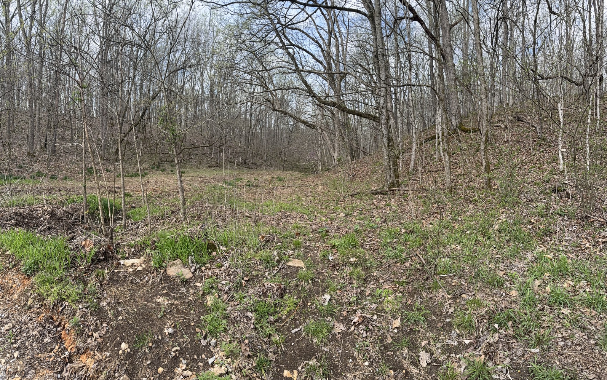 0 Lowery Cemetery Rd Property Photo 3