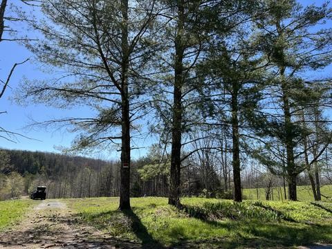 0 Christian Rd Property Photo 51