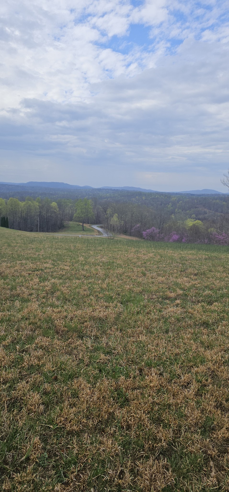 0 Walleye Road Property Photo 8