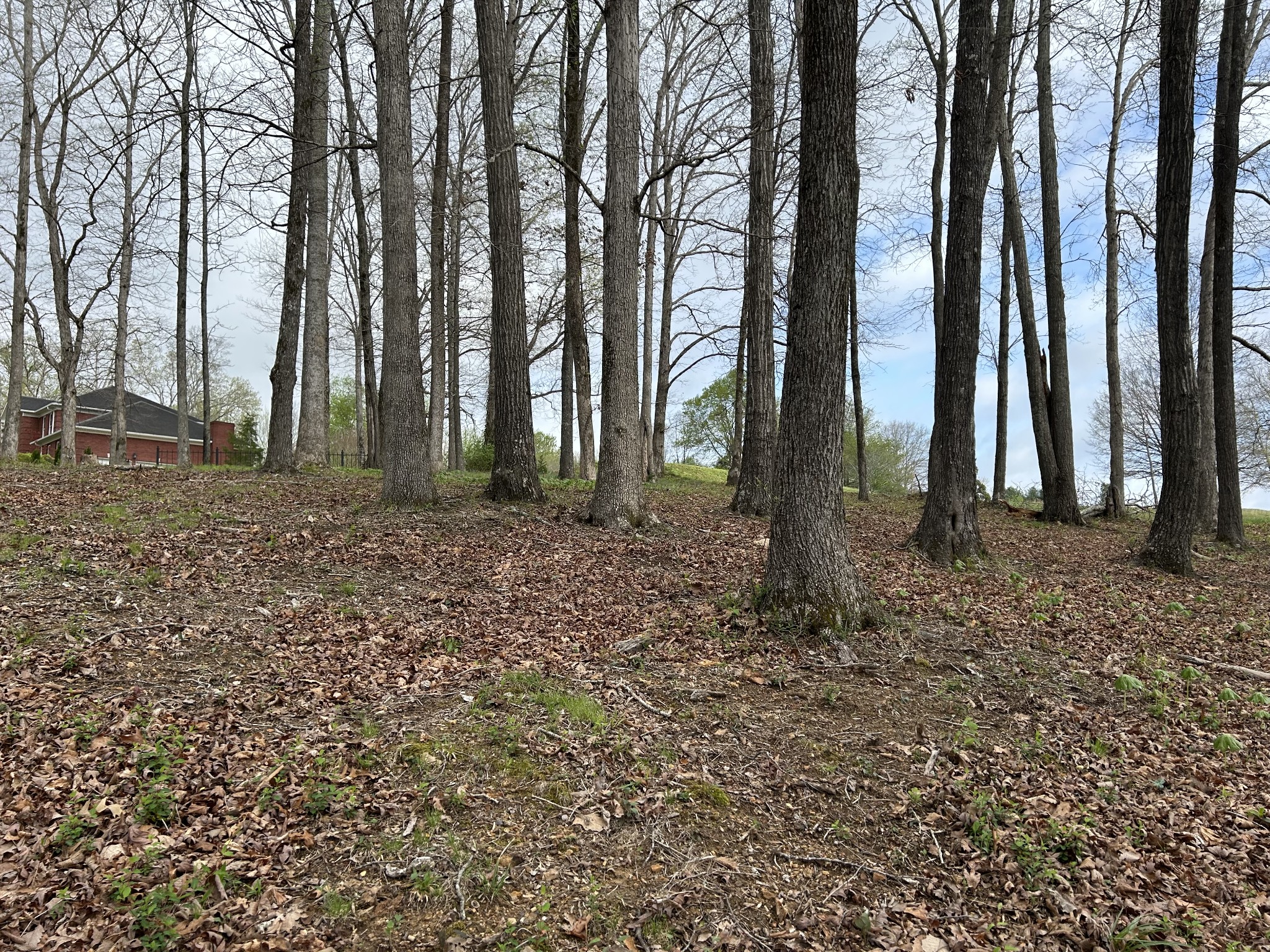 0 Fairway Circle Property Photo 2