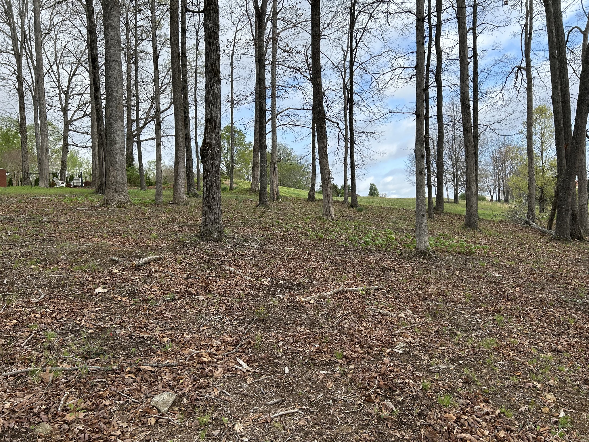 0 Fairway Circle Property Photo 3