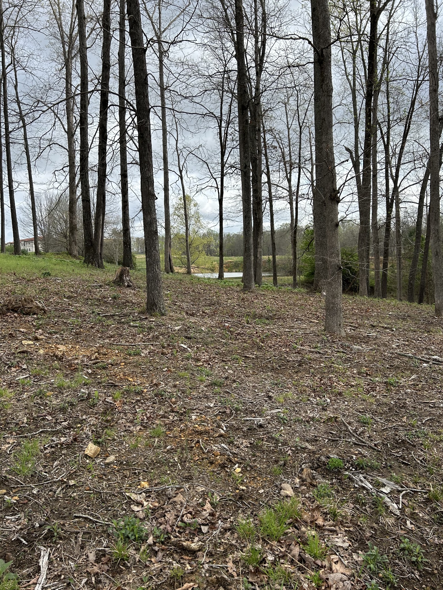 0 Fairway Circle Property Photo 5