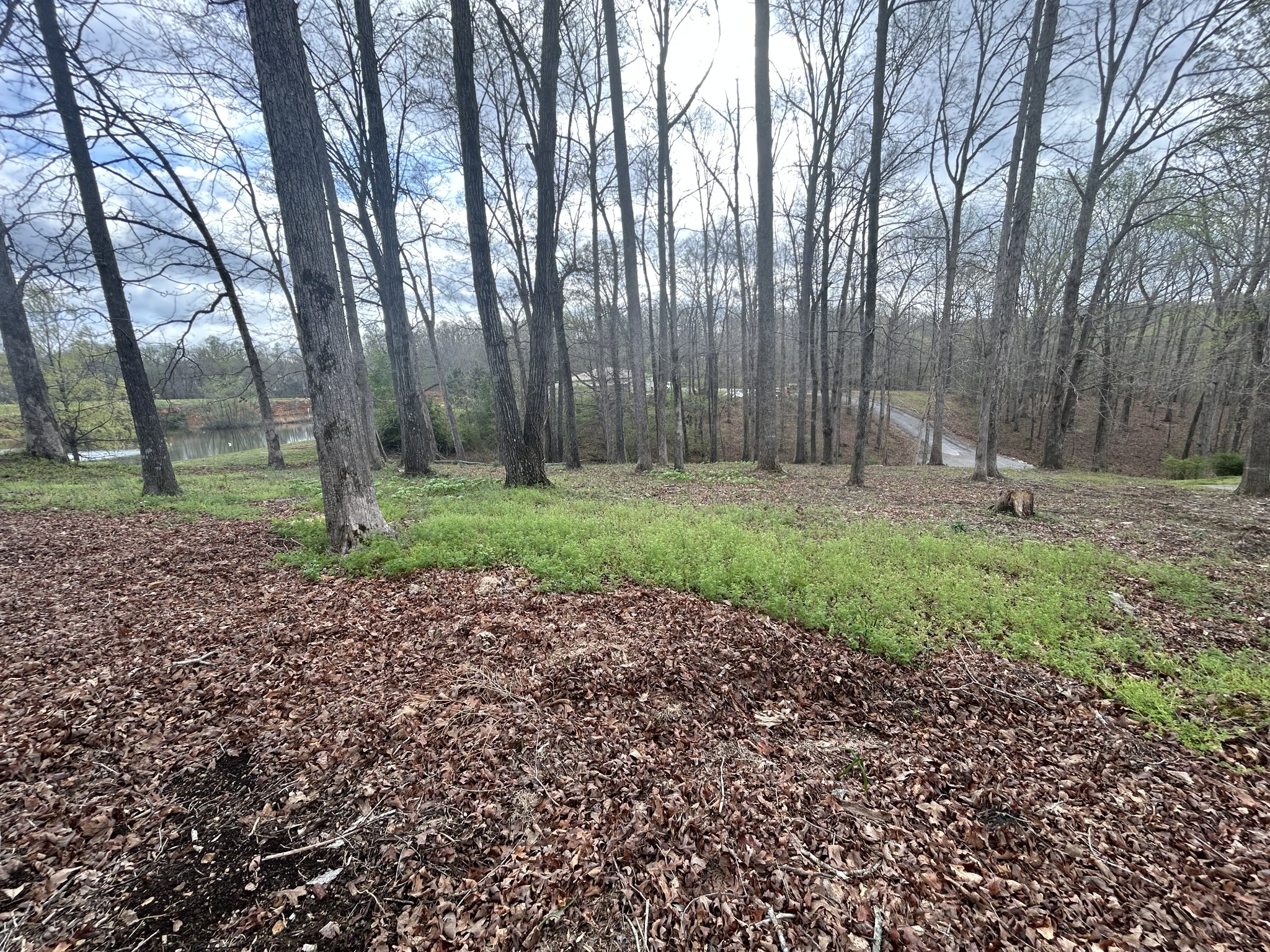 0 Fairway Circle Property Photo 7