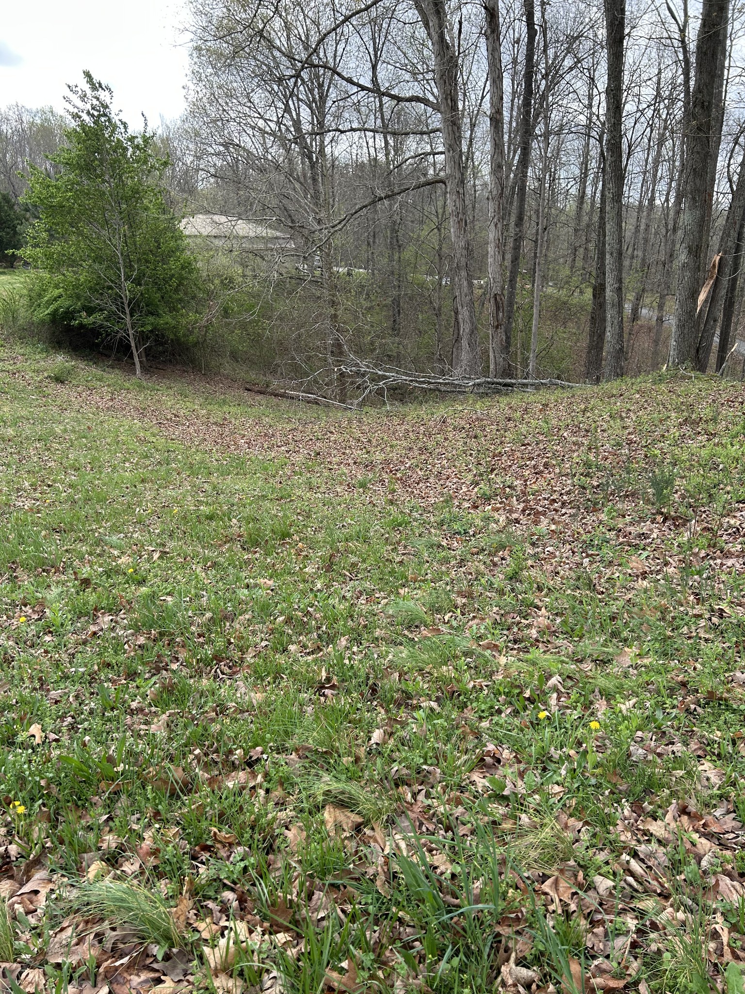 0 Fairway Circle Property Photo 8