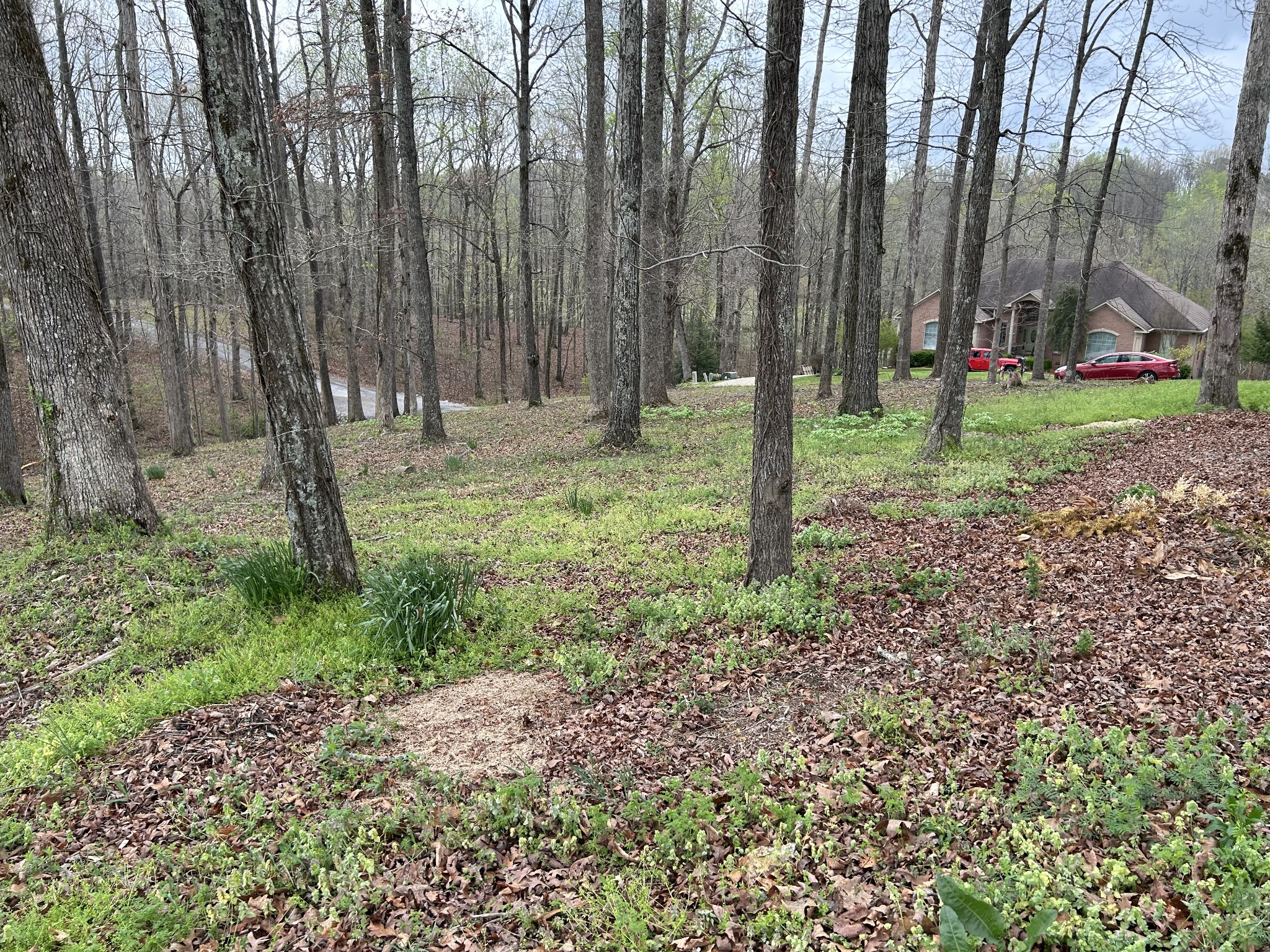 0 Fairway Circle Property Photo 9