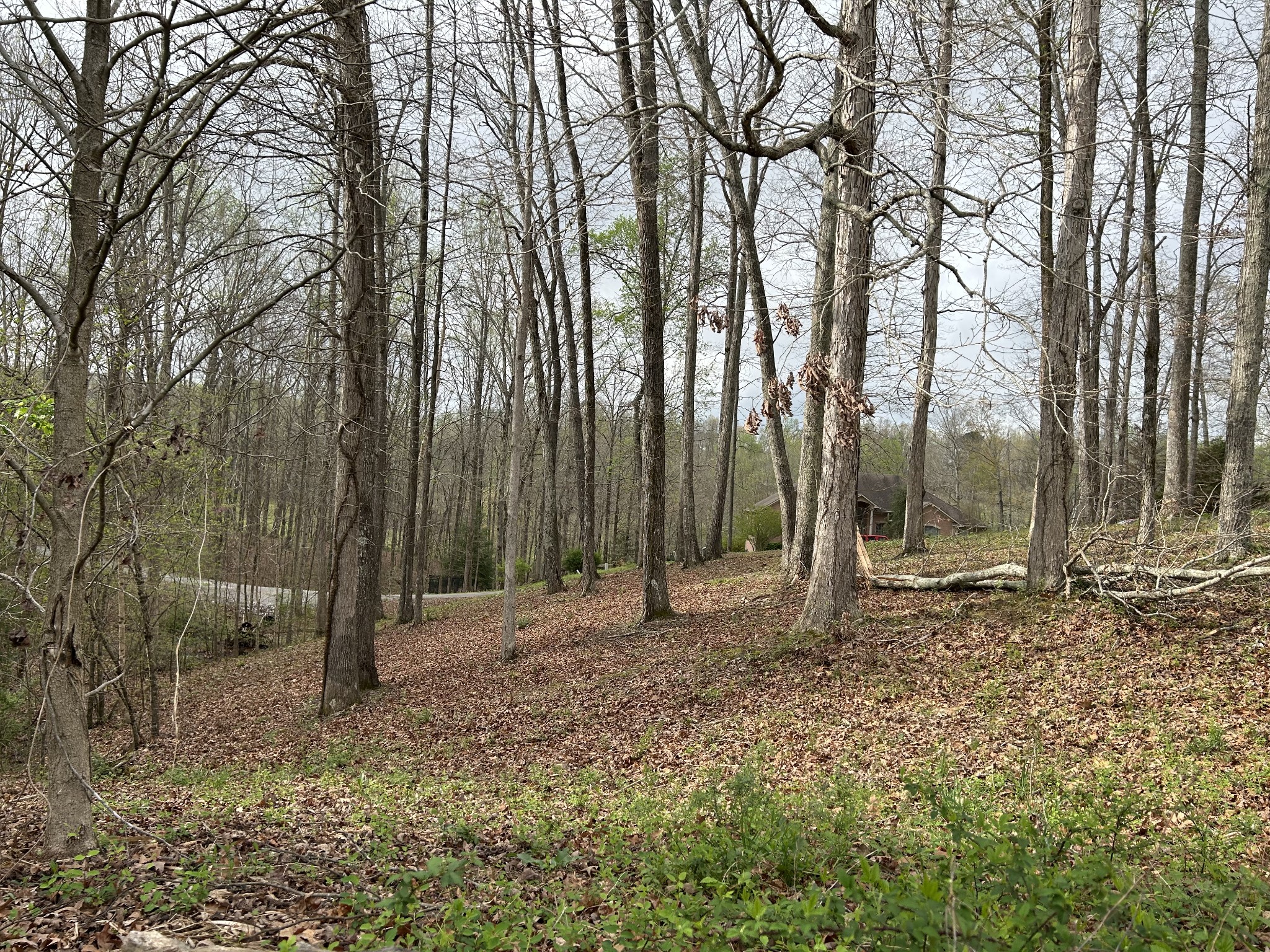 0 Fairway Circle Property Photo 12