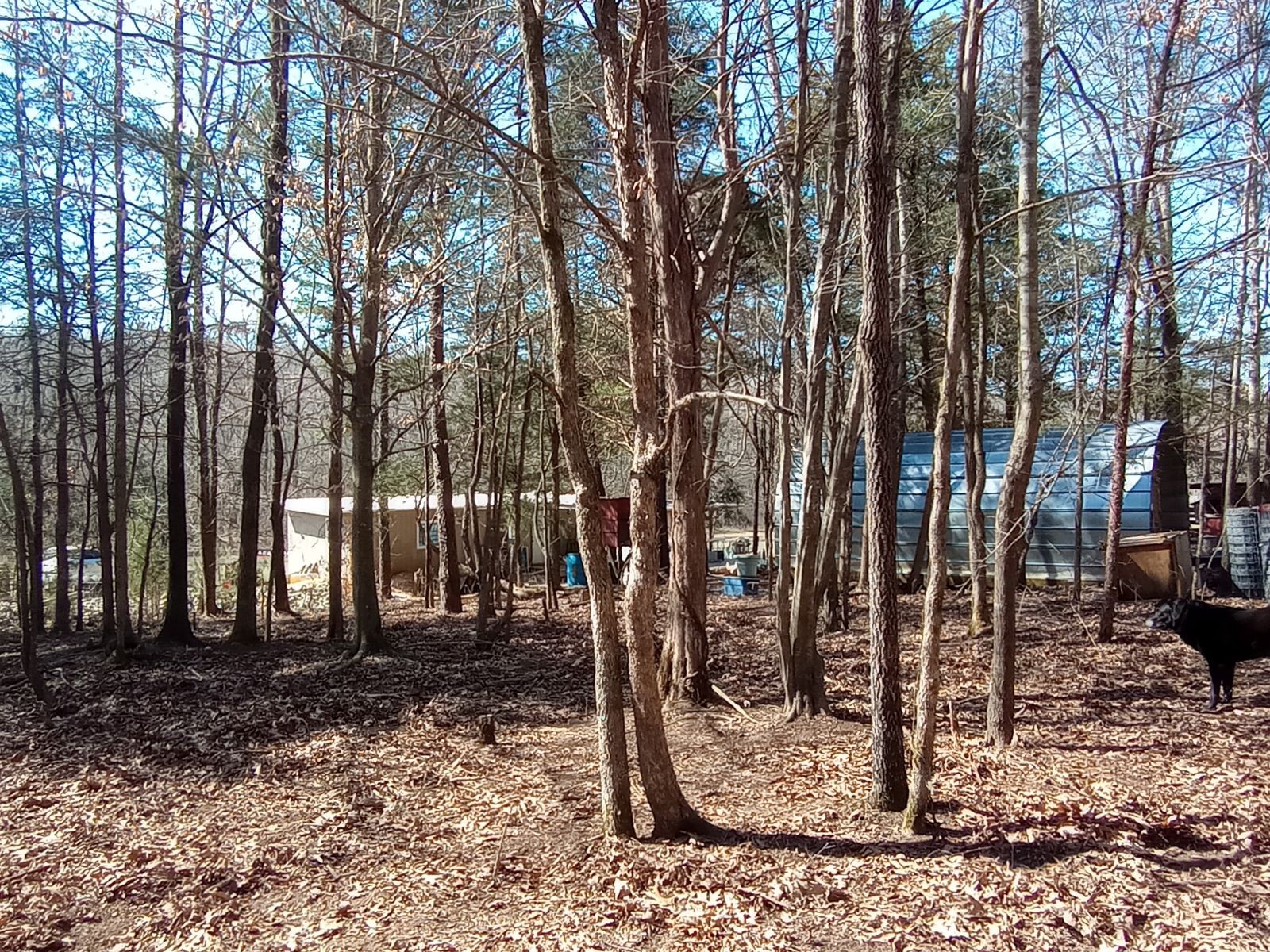 490 Early Bird Ln Property Photo 5