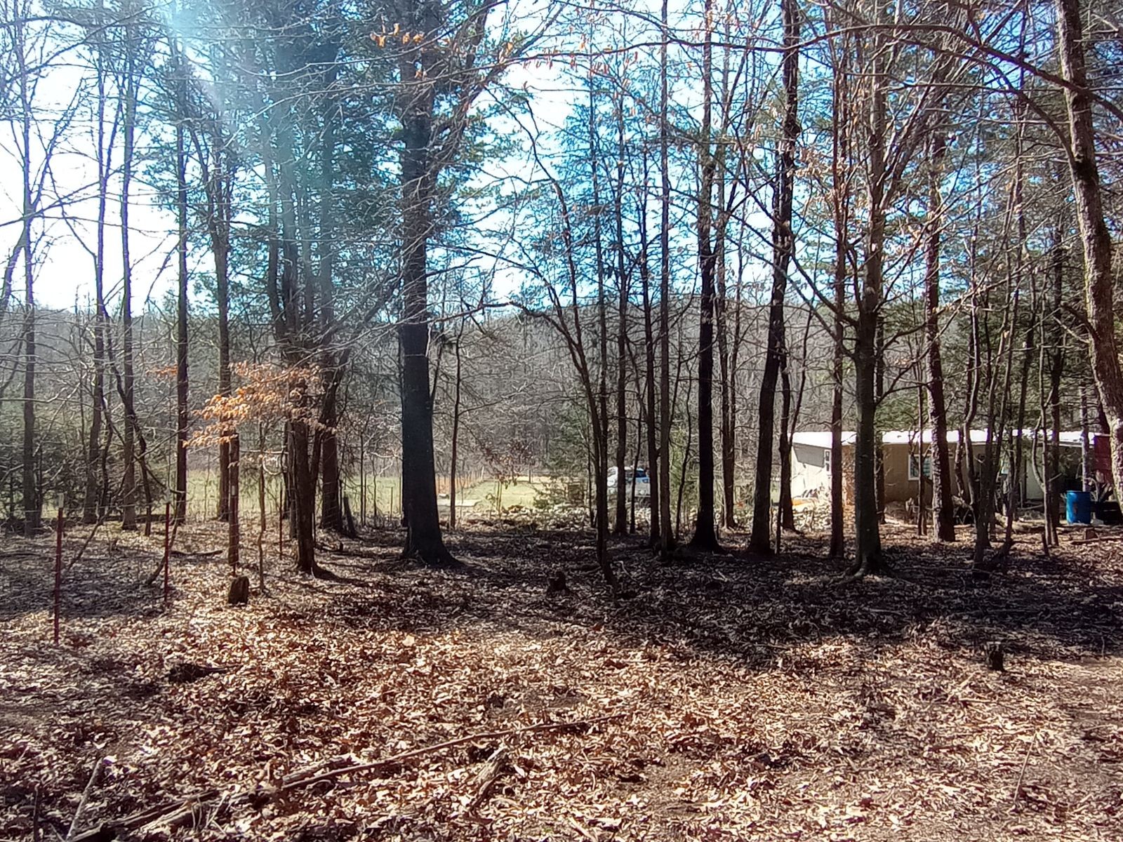 490 Early Bird Ln Property Photo 6