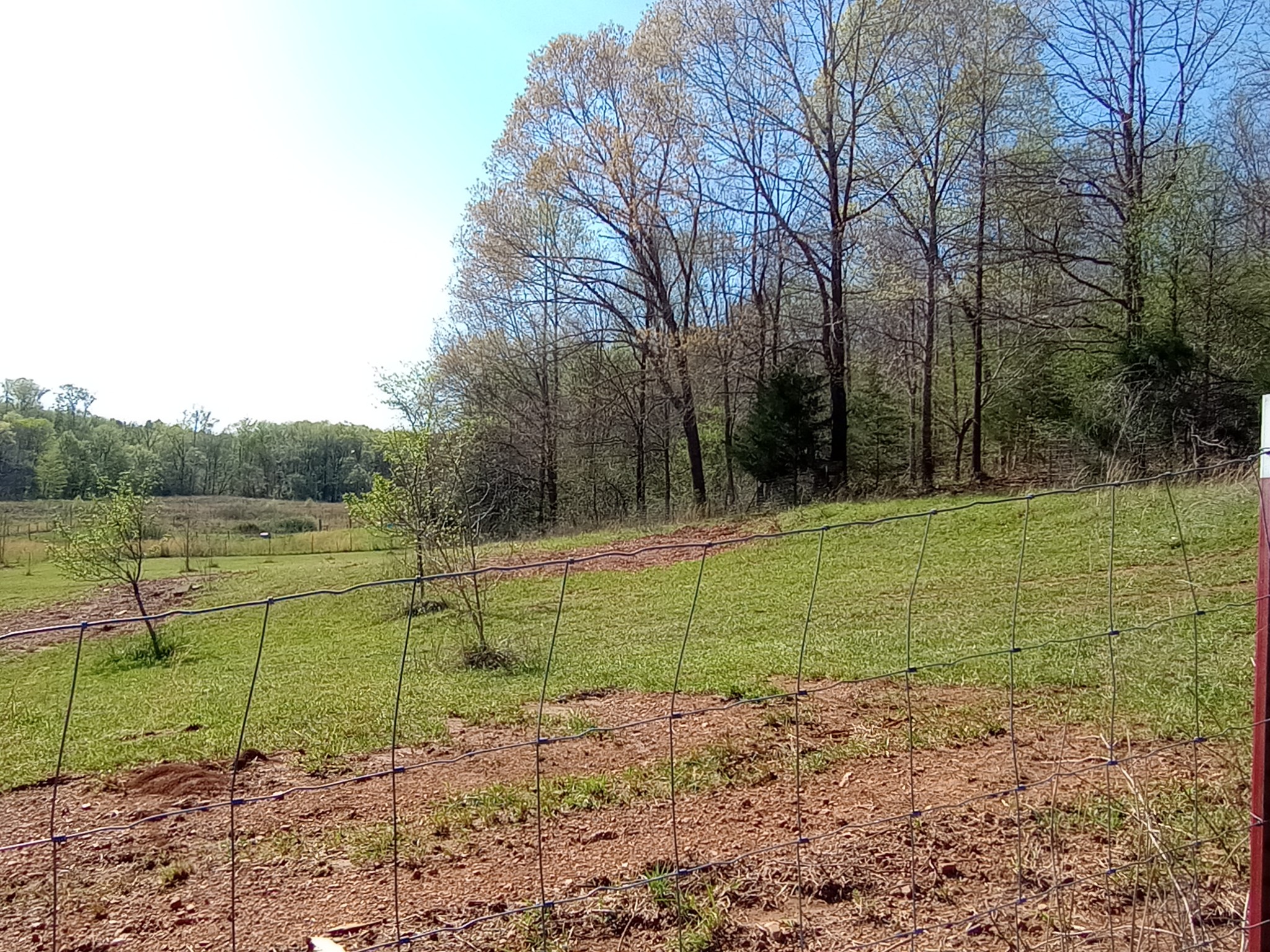 490 Early Bird Ln Property Photo 11