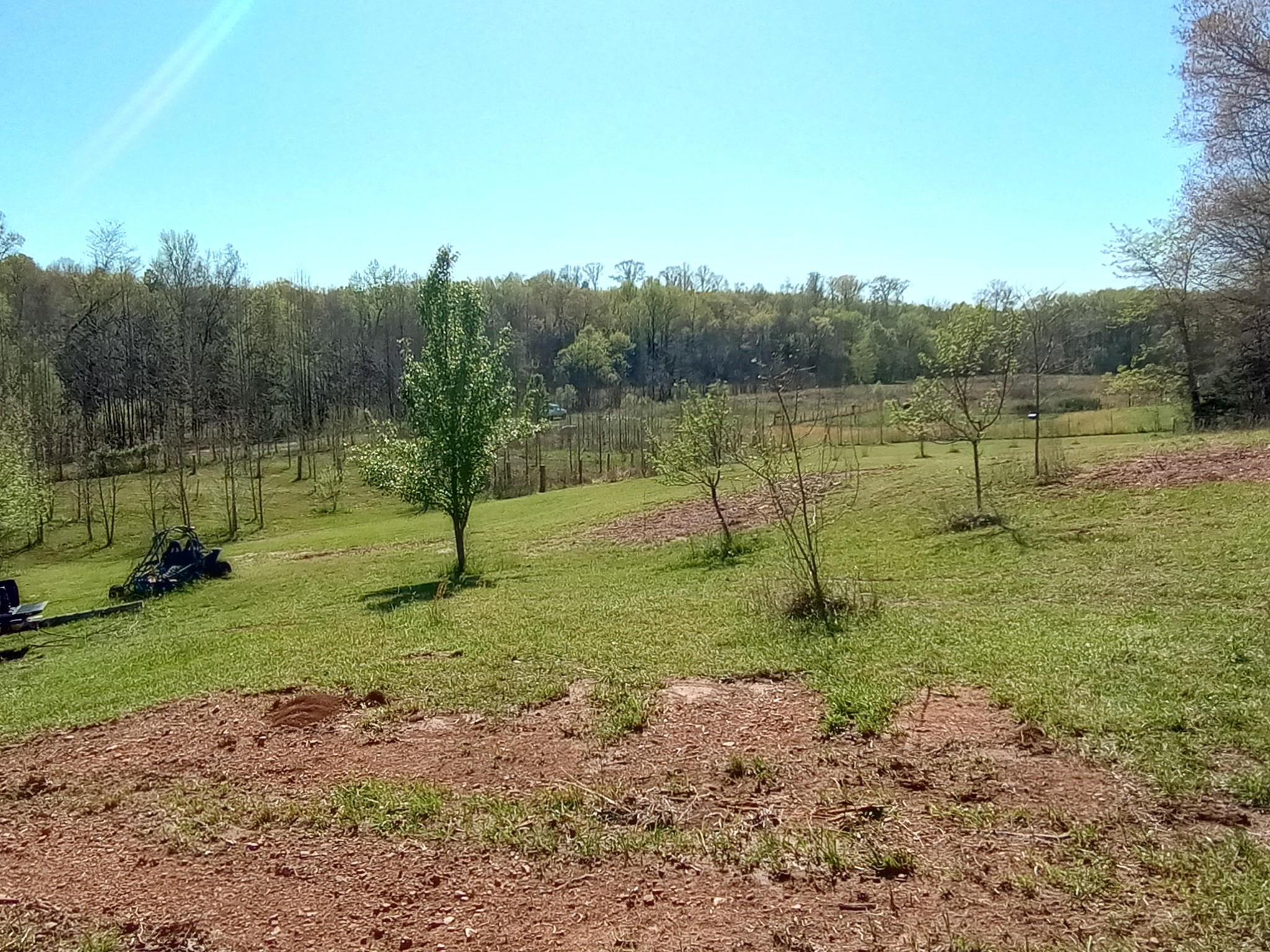 490 Early Bird Ln Property Photo 12