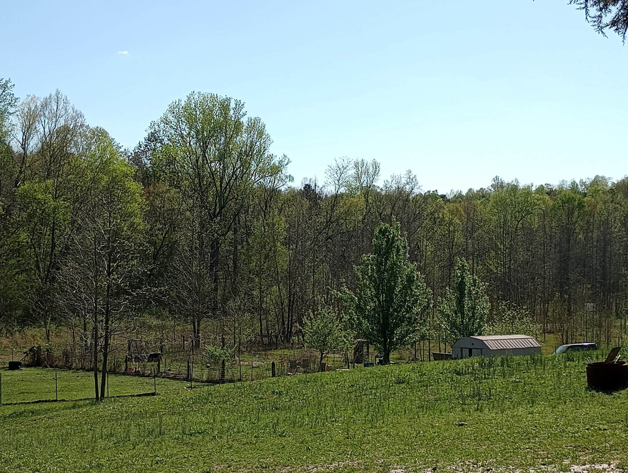 490 Early Bird Ln Property Photo 13