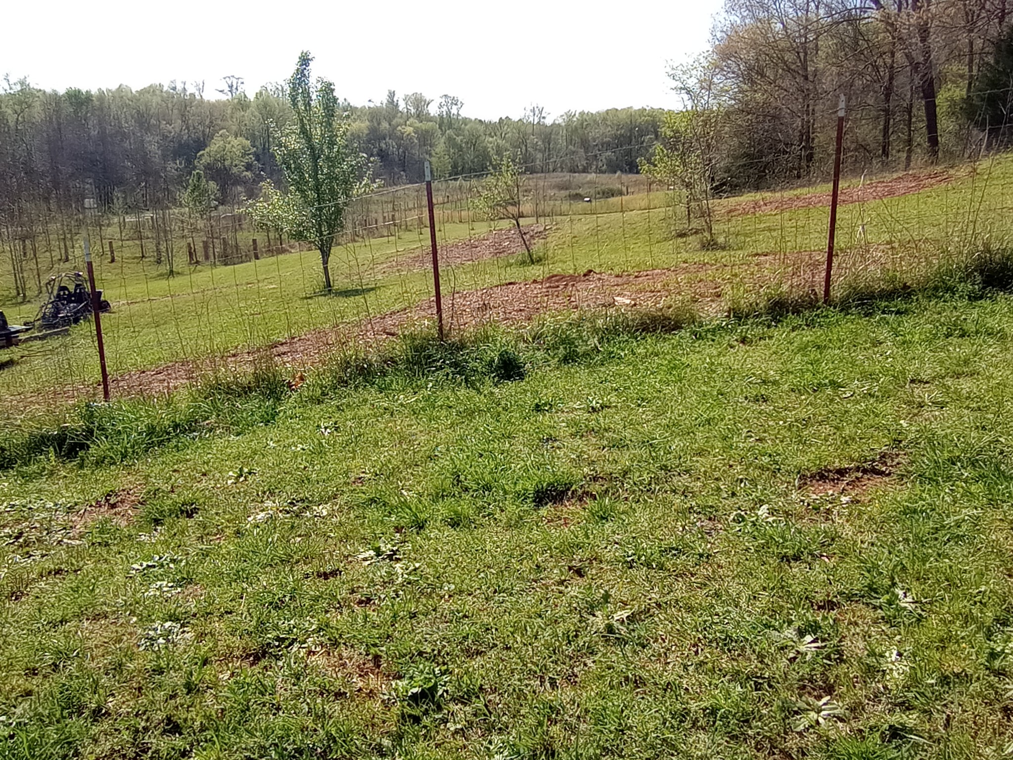 490 Early Bird Ln Property Photo 14