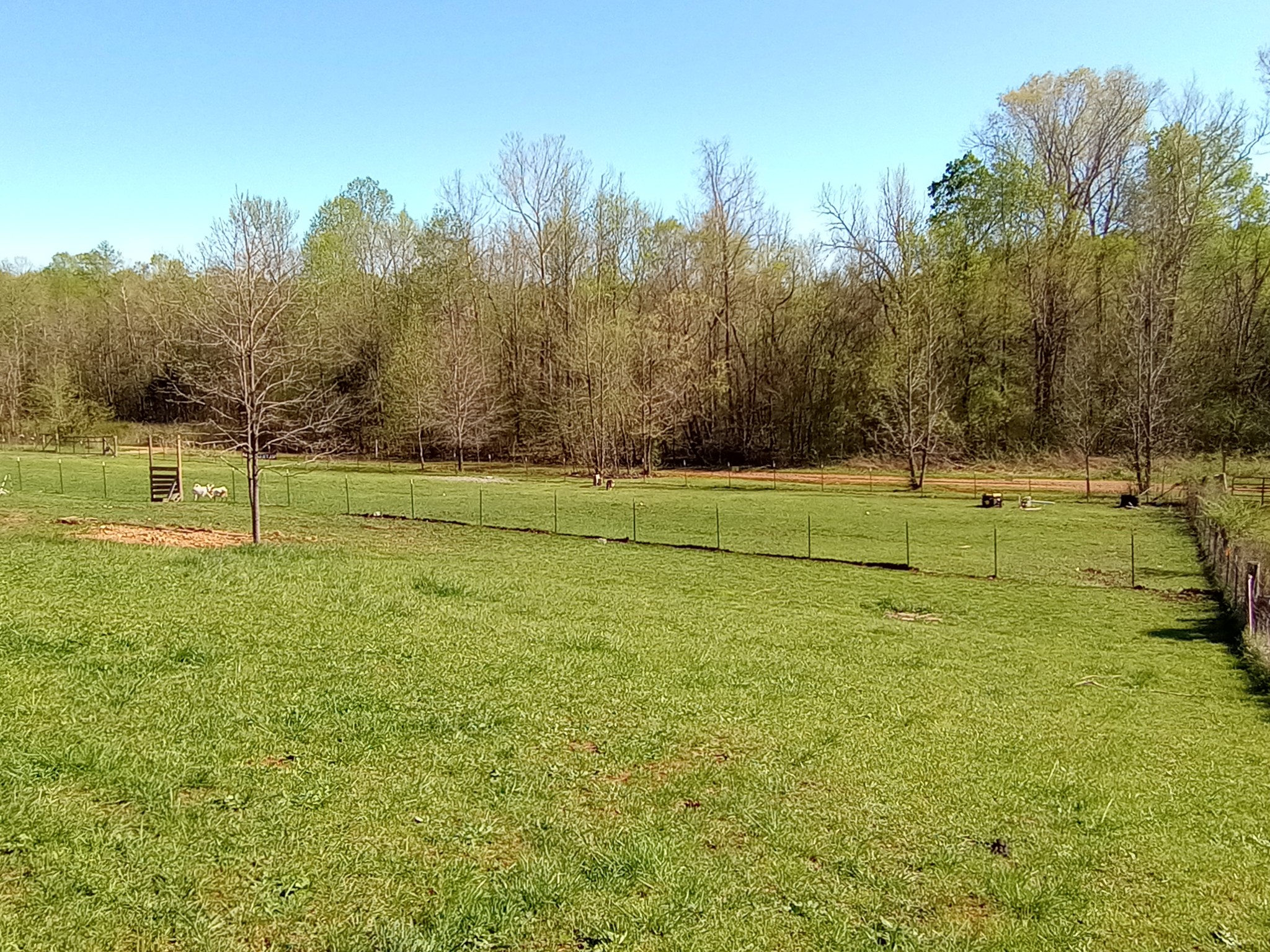 490 Early Bird Ln Property Photo 15