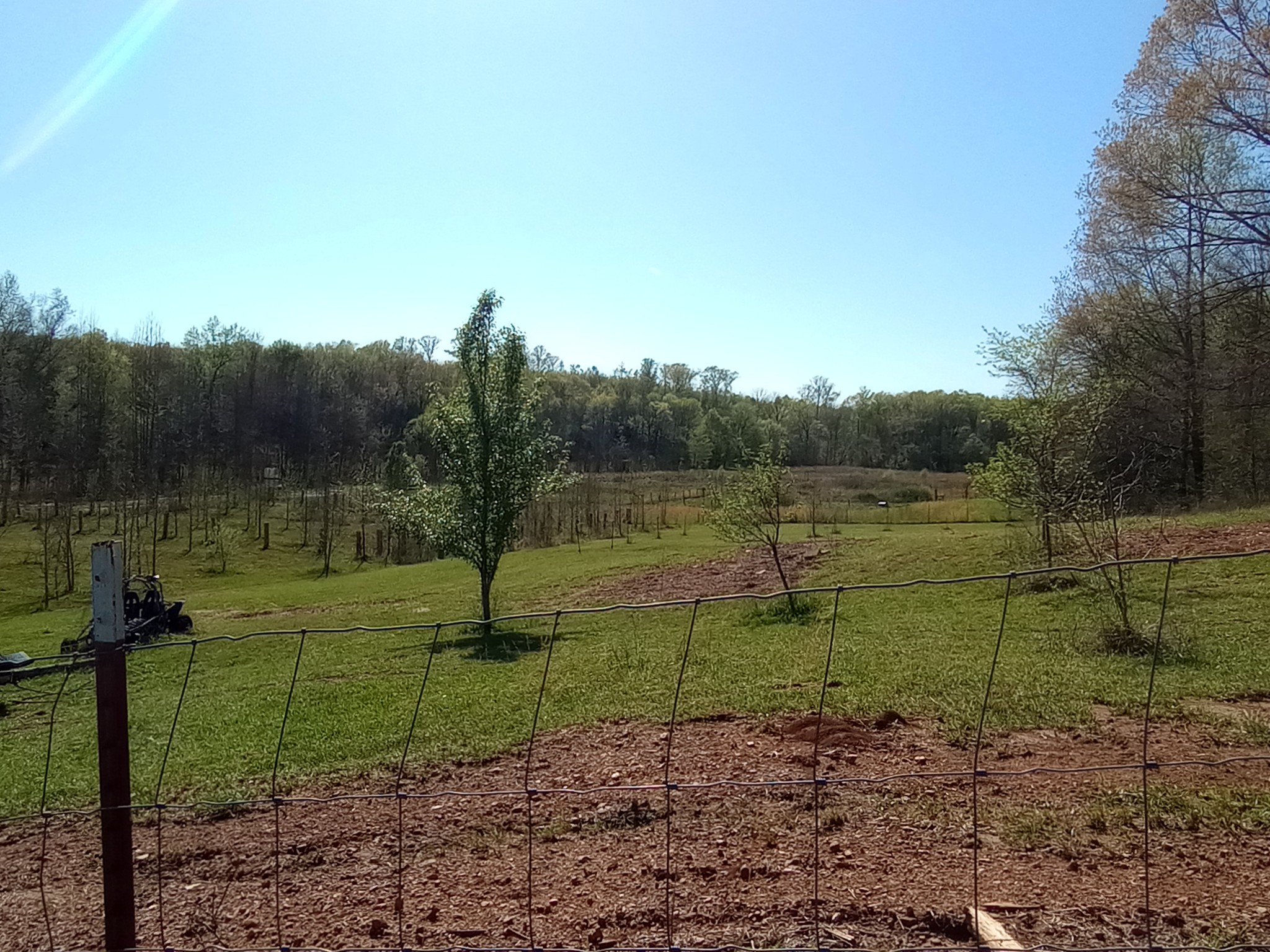490 Early Bird Ln Property Photo 16